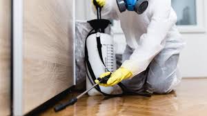 Reliable Macclenny, FL Pest Control Solutions